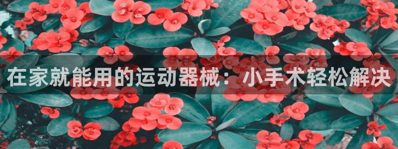 尊龙z6网址