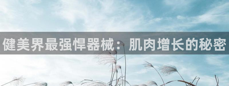 尊龙d88官网确来就送38