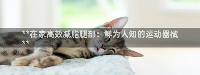 尊龙凯时电竞