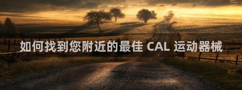 尊龙凯时城游戏官网：如何找到您附近的最佳 CAL 运