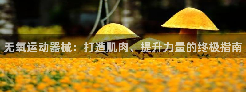 凯时首页地址