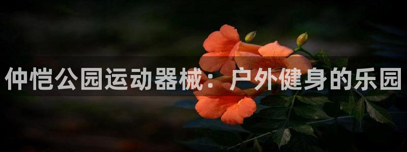 尊龙休闲e站怎么样：仲恺公园运动器械：户外健身的乐园