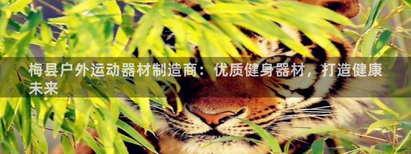 尊龙d88现金关注ag发财网：梅县户外运动器材制造商