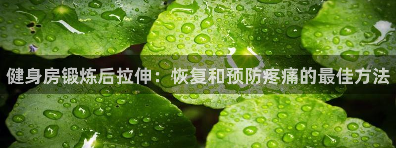 尊龙登录：健身房锻炼后拉伸：恢复和预防疼痛的最佳方法