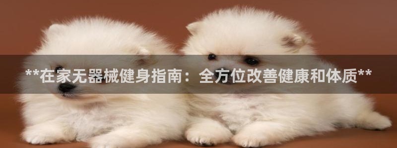 尊龙凯时怎么注销账号：**在家无器械健身指南：全方位