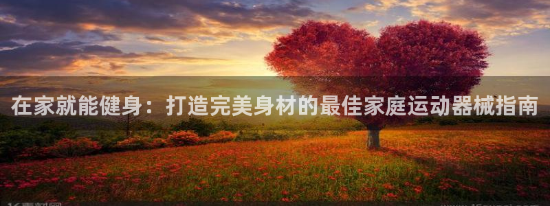 尊龙凯时法充十万返现多少：在家就能健身：打造完美身材