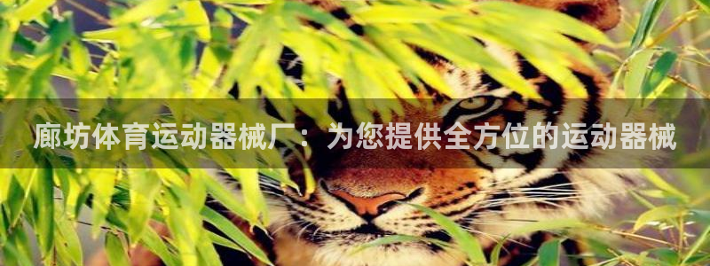 尊龙手机客户端下载APP：廊坊体育运动器械厂：为您提