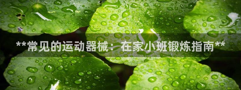 尊龙凯时凯发官网：**常见的运动器械：在家小班锻炼指