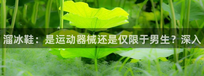 尊龙凯时官网首页：溜冰鞋：是运动器械还是仅限于男生？