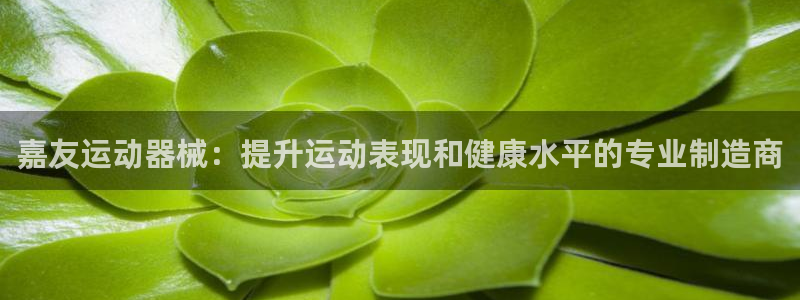 kb88凯时会员登录：嘉友运动器械：提升运动表现和健