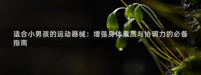 尊龙凯时人生就是搏官方网站：适合小男孩的运动器械：增