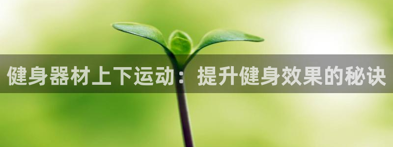 尊龙凯时国际：健身器材上下运动：提升健身效果的秘诀