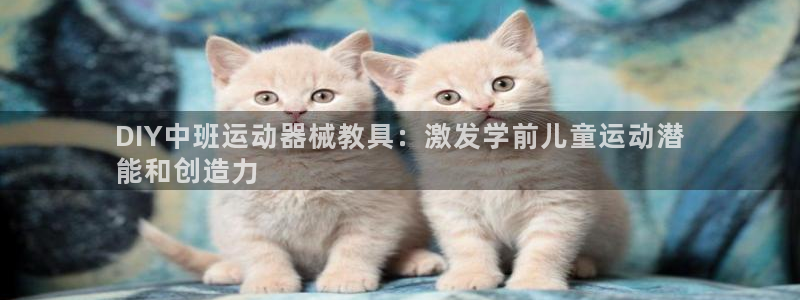 尊龙-人生就是博：DIY中班运动器械教具：激发学前儿