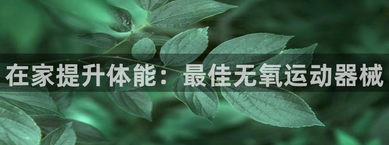 尊龙凯时总部在哪里：在家提升体能：最佳无氧运动器械