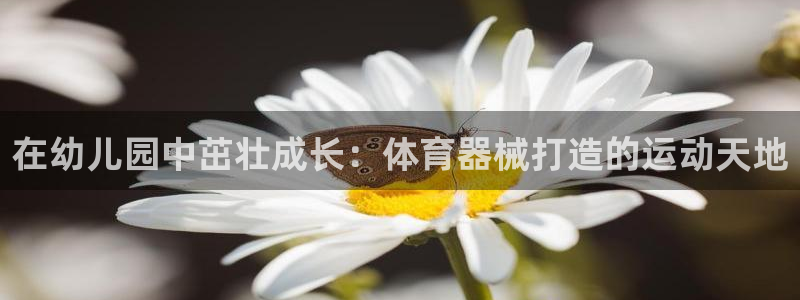 最新凯时官网网址：在幼儿园中茁壮成长：体育器械打造的
