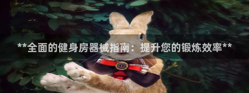 kb88凯时会员登录：**全面的健身房器械指南：提升