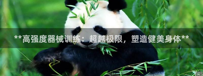 尊龙凯时网站赌愽是真的吗：**高强度器械训练：超越极