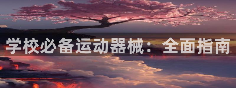 尊龙2021年最新消息：学校必备运动器械：全面指南