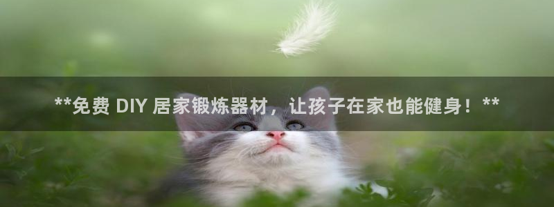 Z6尊龙凯时登录：**免费 DIY 居家锻炼器材，让