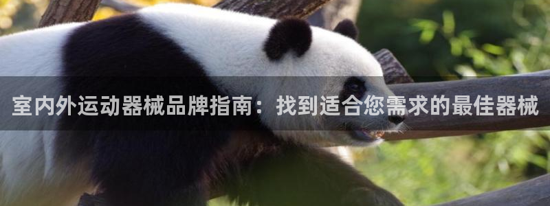尊龙贴吧：室内外运动器械品牌指南：找到适合您需求的最