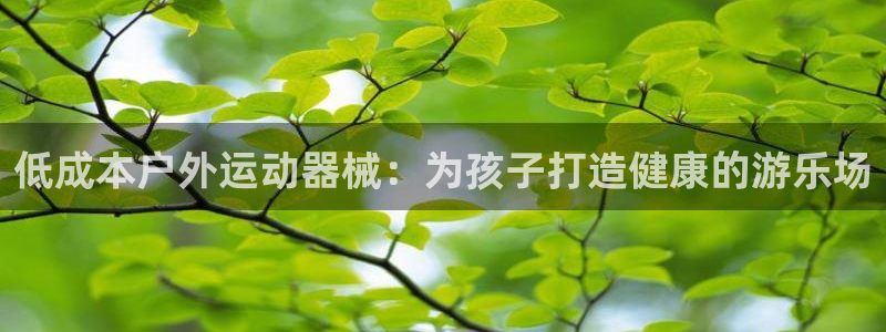尊龙人生手机版都去ag发财网：低成本户外运动器械：为
