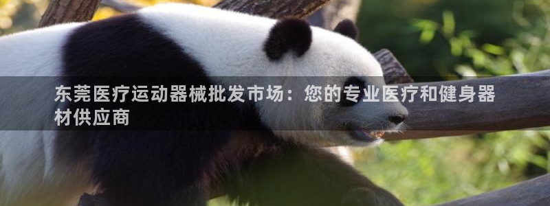 尊龙凯时人生就是搏z6com：东莞医疗运动器械批发市