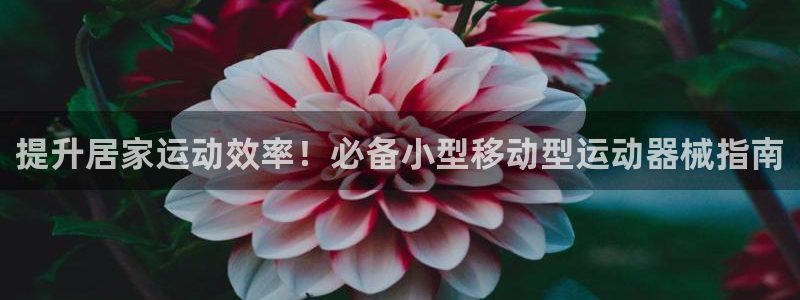 尊龙一人生就是博电子游戏：提升居家运动效率！必备小型