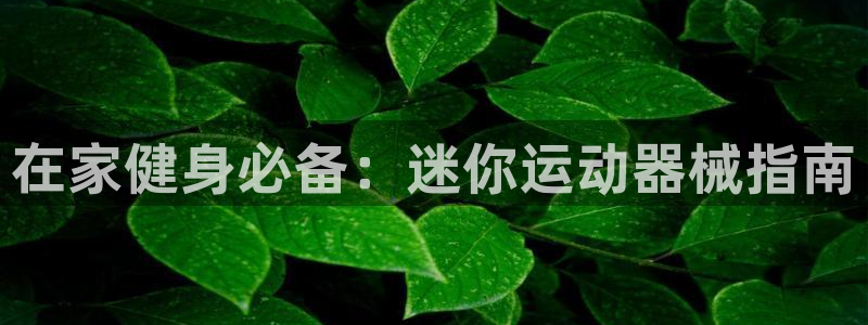 尊龙凯时能提现吗：在家健身必备：迷你运动器械指南