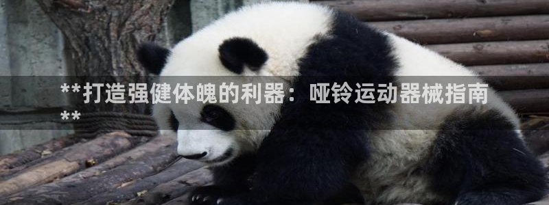 尊龙下载推荐网站：**打造强健体魄的利器：哑铃运动器