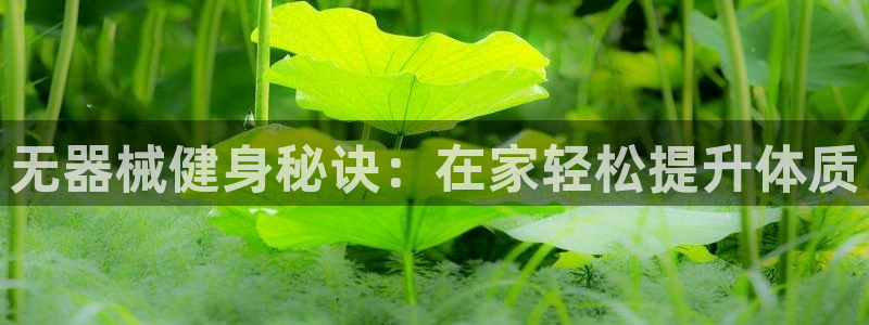 尊龙这个平台怎么样：无器械健身秘诀：在家轻松提升体质