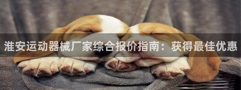 尊龙目前情况：淮安运动器械厂家综合报价指南：获得最佳