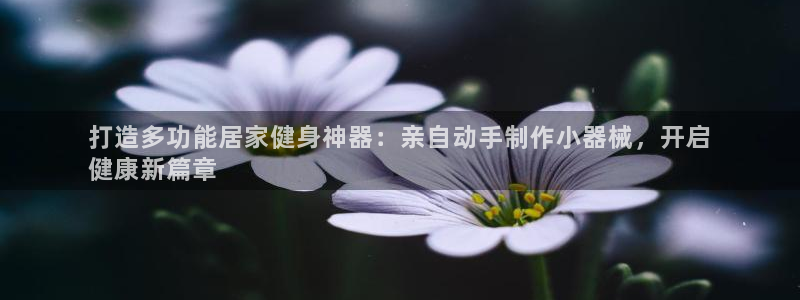 尊龙官方网站是真的吗：打造多功能居家健身神器：亲自动