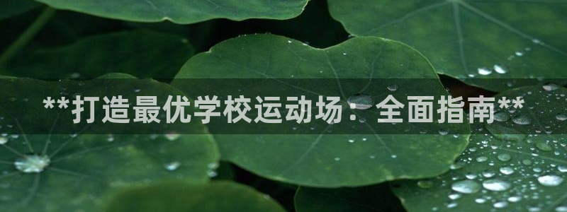 凯时kb88官方：**打造最优学校运动场：全面指南*