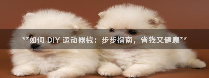 尊龙凯时-人生就是博中国官网首页：**如何 DIY 