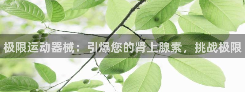 d88尊龙凯时：极限运动器械：引爆您的肾上腺素，挑战