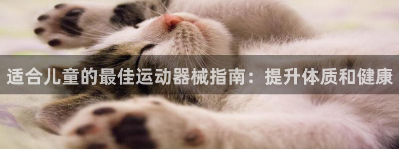 尊龙登录会员登录：适合儿童的最佳运动器械指南：提升体