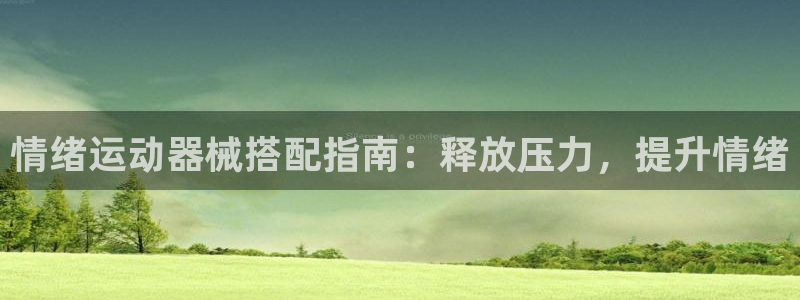 尊龙人生就是博官网登录手机：情绪运动器械搭配指南：释