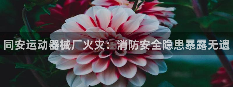 尊龙凯时提款冻卡吗：同安运动器械厂火灾：消防安全隐患