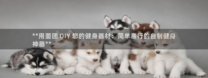 尊龙是什么软件：**用面团 DIY 您的健身器材：简