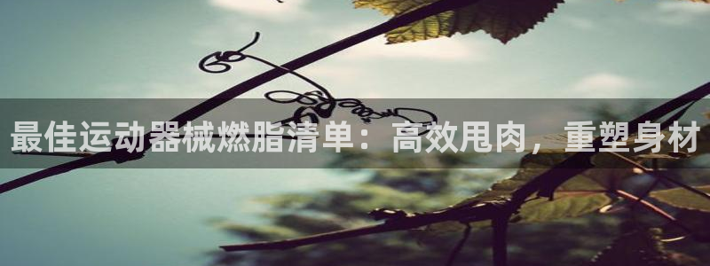 z6尊龙官网：最佳运动器械燃脂清单：高效甩肉，重塑身