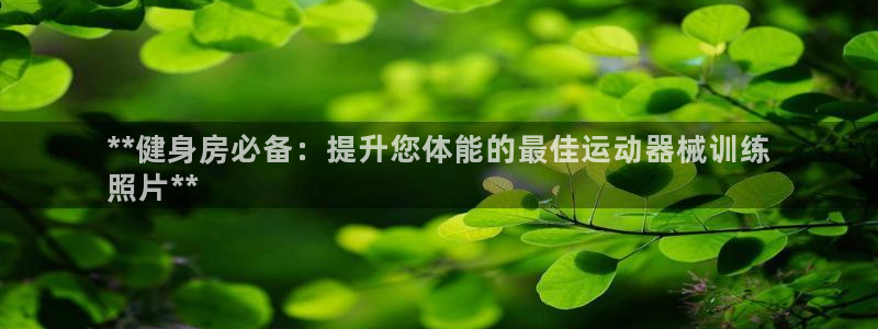 尊龙凯时代理佣金发不发：**健身房必备：提升您体能的