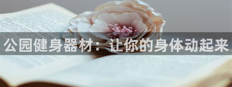 尊龙凯时出款：公园健身器材：让你的身体动起来