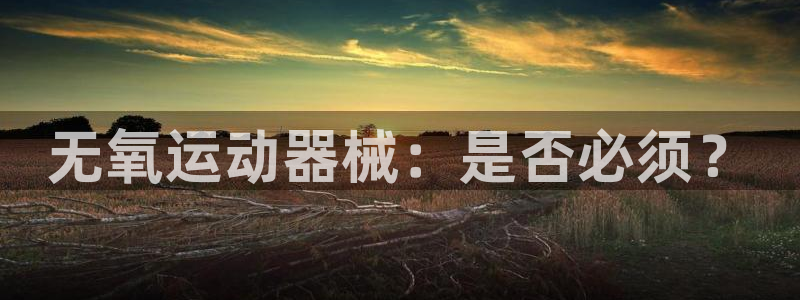尊龙凯时平台有没有不到账的：无氧运动器械：是否必须？