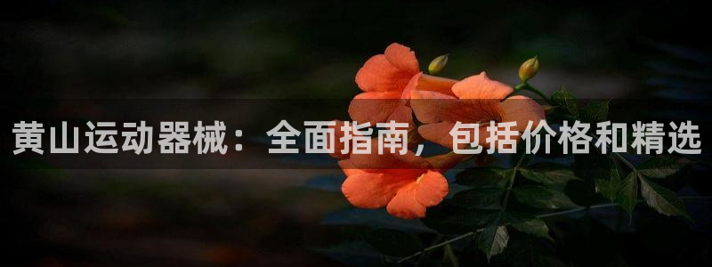 尊龙客服：黄山运动器械：全面指南，包括价格和精选
