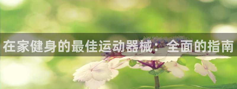 尊龙app下载官网：在家健身的最佳运动器械：全面的指