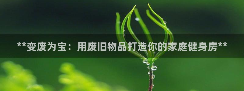 尊龙凯时企业文化：**变废为宝：用废旧物品打造你的家