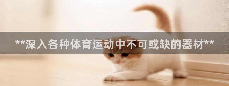 尊龙集团有限公司：**深入各种体育运动中不可或缺的器材**
