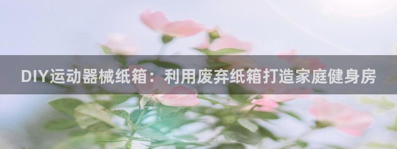 尊龙人生就是博菲律宾台子：DIY运动器械纸箱：利用废