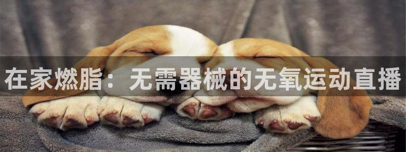 尊龙人生就是博i可靠吗：在家燃脂：无需器械的无氧运动