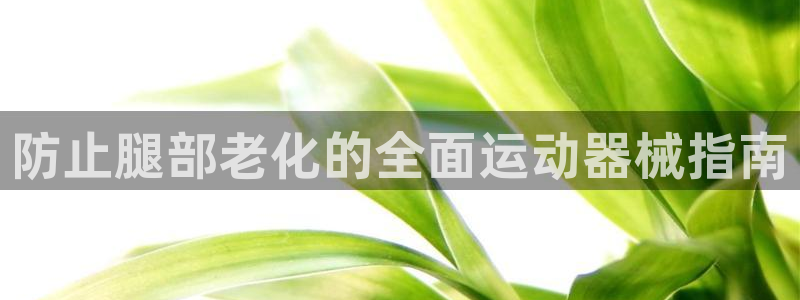 尊龙手机官方客户端下载安卓：防止腿部老化的全面运动器